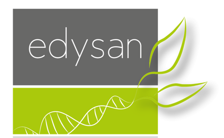 Logo edysan