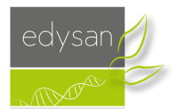 Logo edysan