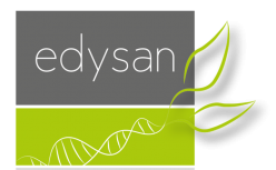 Logo edysan